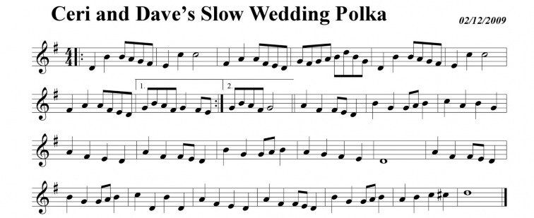 Ceri and Dave’s Slow Wedding Polka - One of the 236 tnes from the book. Slow because it took them 18 years to get married!